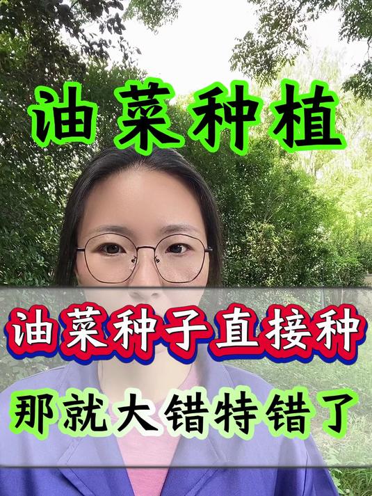 油菜种子直接种 那就大错特错了