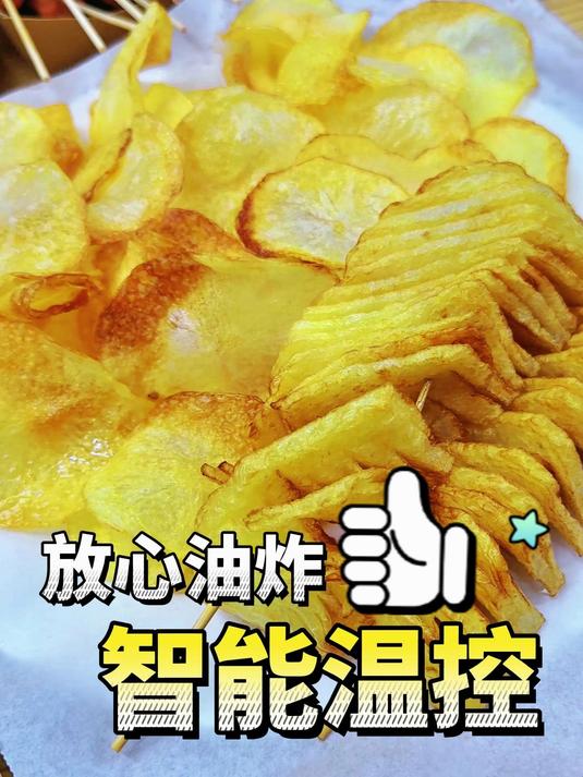 台式小巧精细控温~商用电炸美味多多!