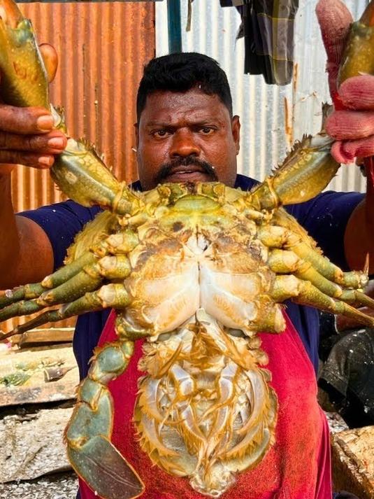 印度人都是如何处理大青蟹的，真是让人感觉到很不可思议啊