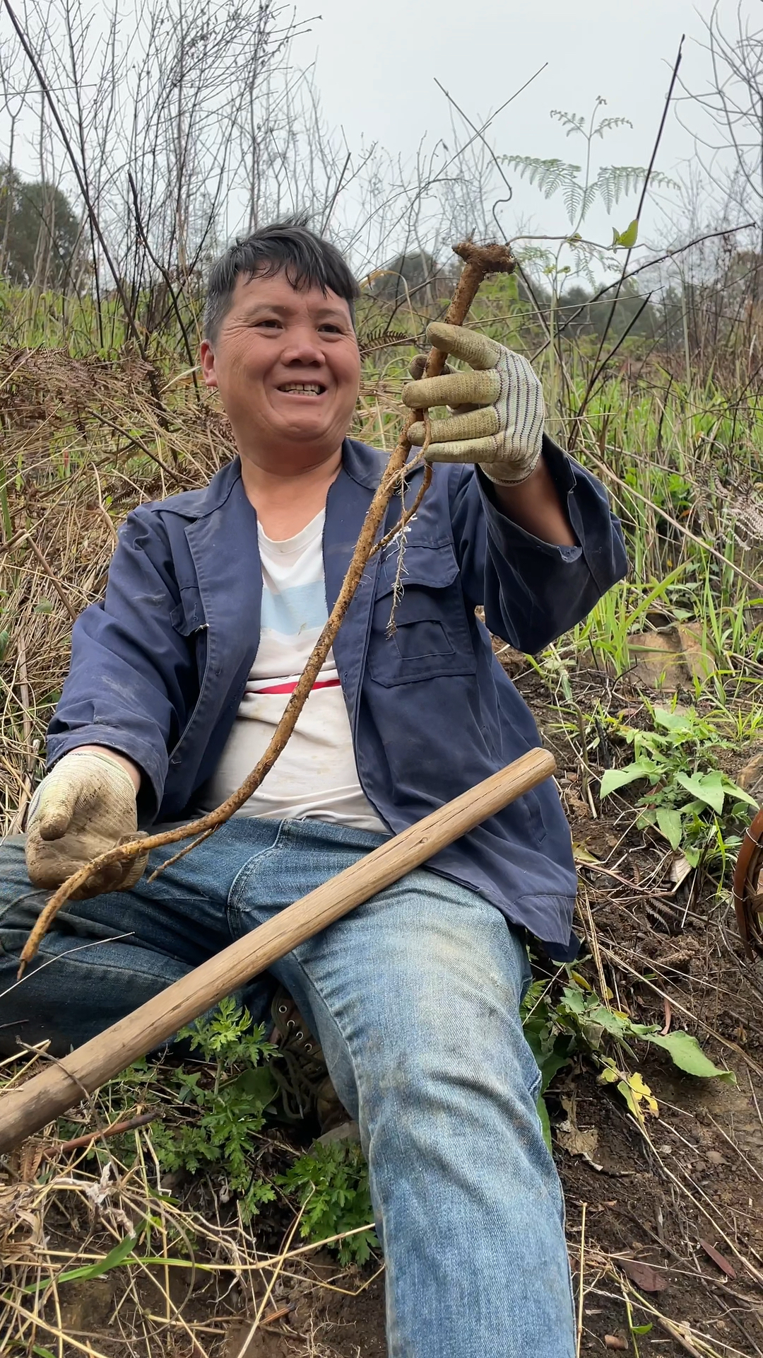 大山深处,挖到不一样的地菜