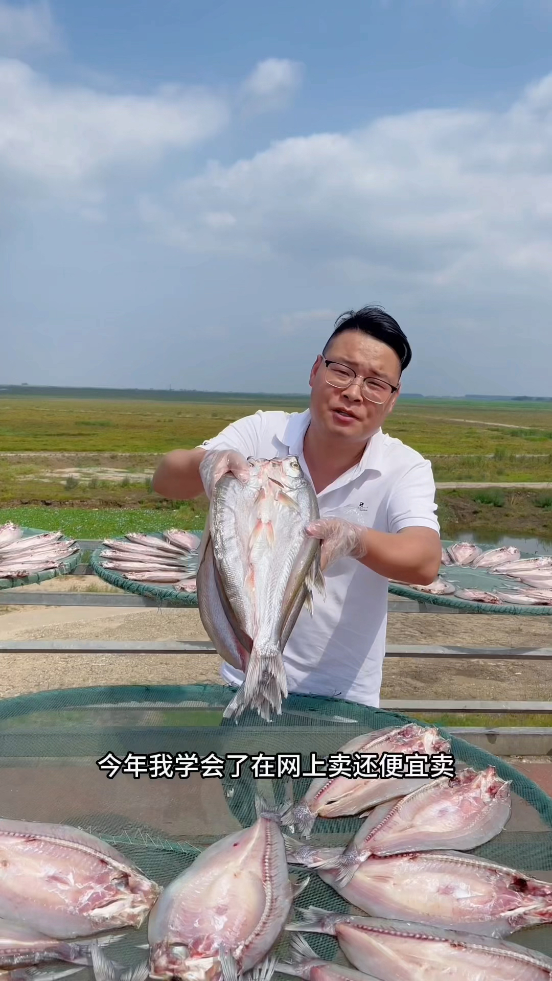 湖北淡水鱼大白刁