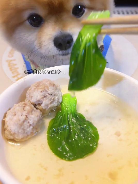 今天吃吃宁夏小青菜+狮子头