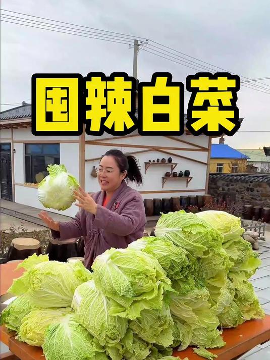 给一百斤辣白菜腌上，回来猫冬半年啥也不用干了