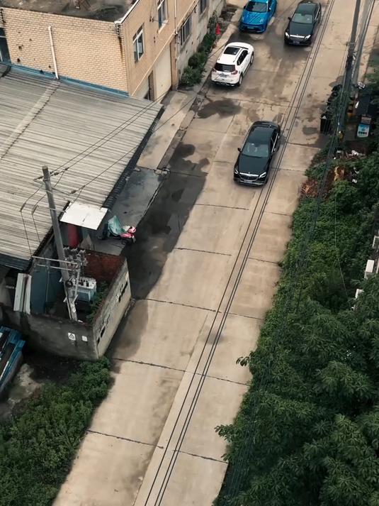 护崽逆袭，爹地是真大佬 56