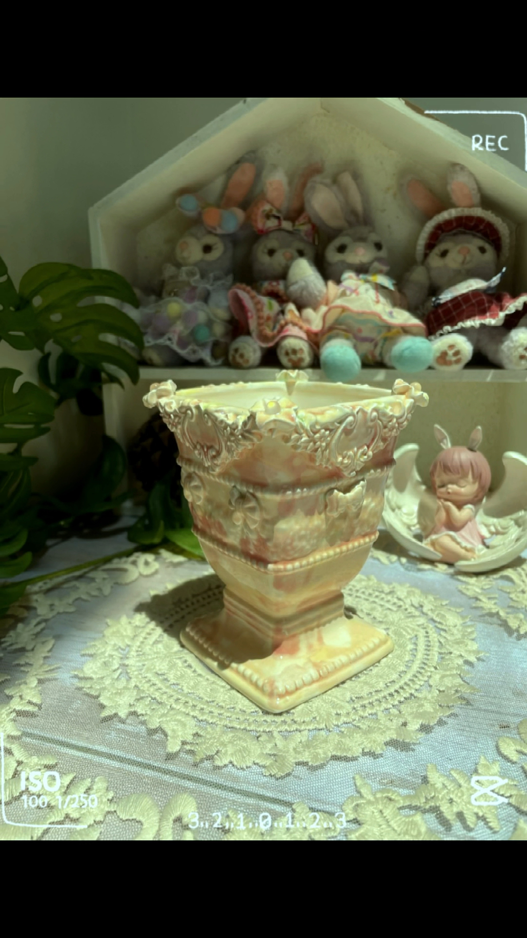 创意陶瓷多肉花盆,为你的多肉添加个性标签