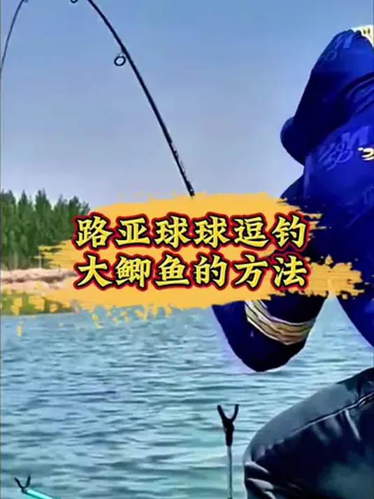 洛阳球球逗钓鲫鱼,不会安装线组?我来教你