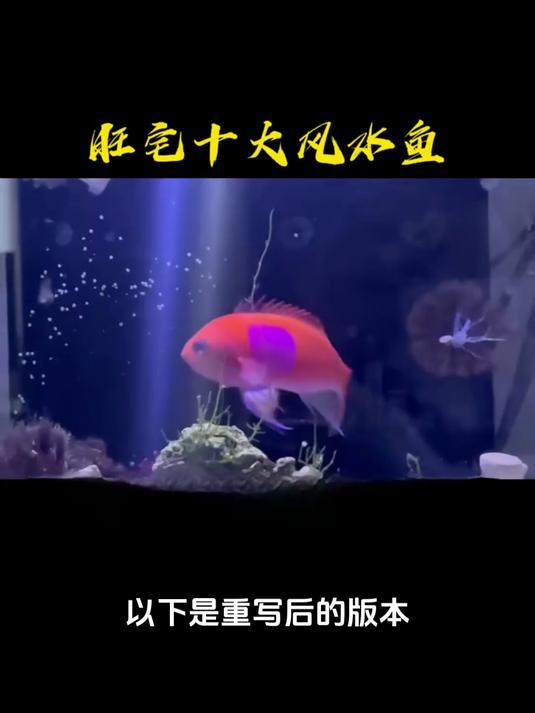 客厅财位这样摆!放对 3 种植物让财源滚滚,亲测 3 天见效