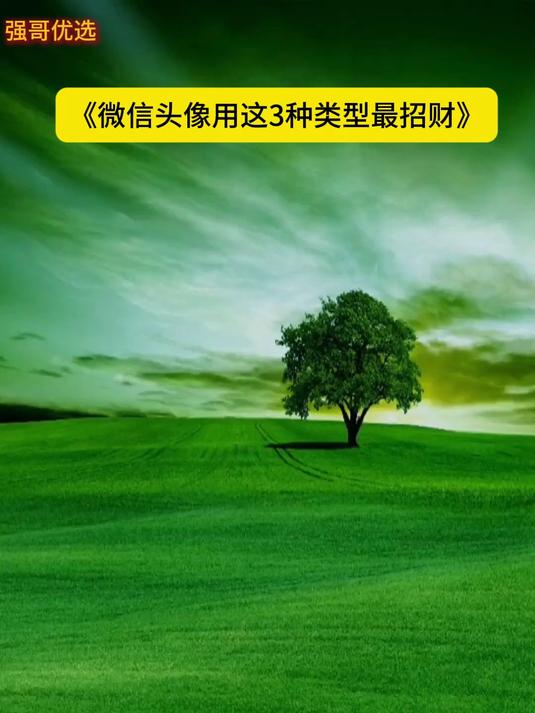 《微信头像用这3种类型最招财》