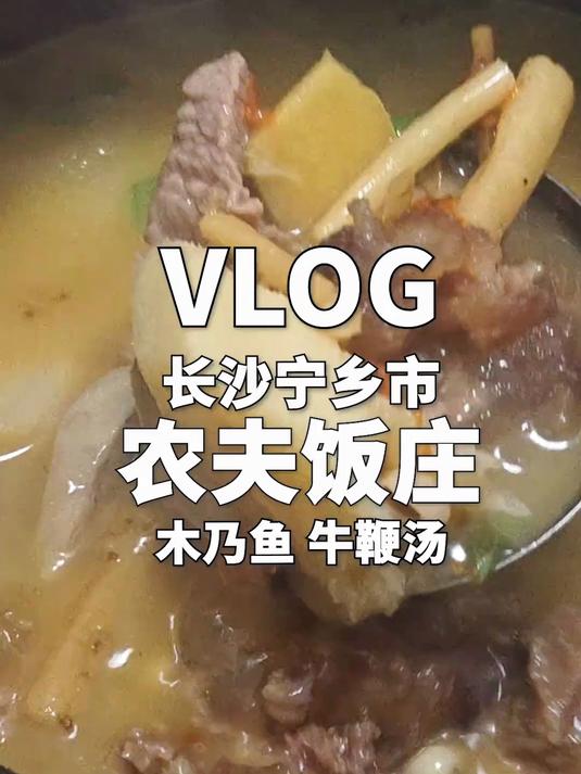 宁乡十年老店,不仅有鲜嫩的木乃鱼,还有醇厚的中年滋补汤