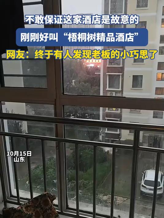不敢保证这家酒店是故意的，刚刚好叫“梧桐树精品酒店”