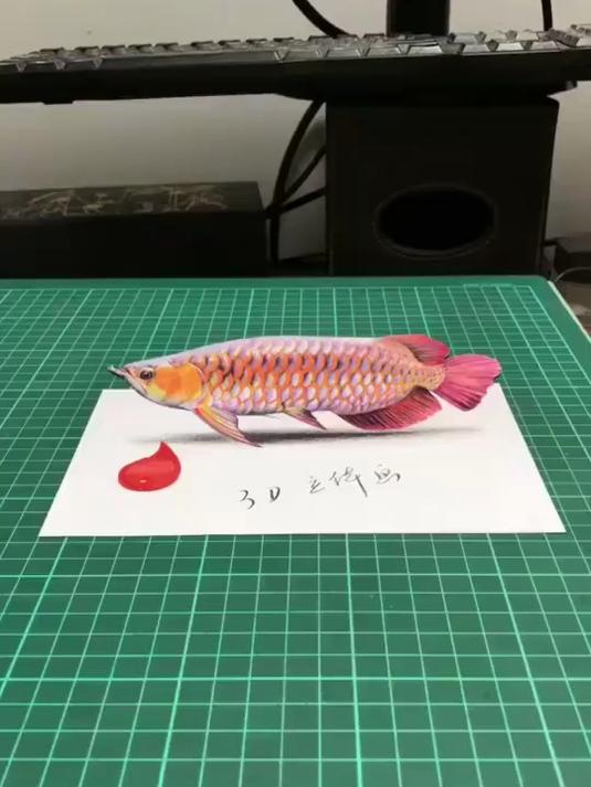 画了条金龙鱼