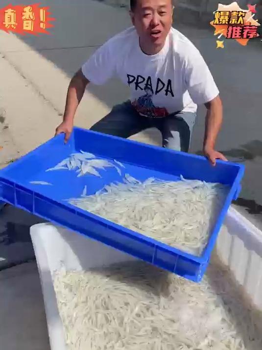 纯野生淡水银鱼干!无需泡发直接烹饪,煲汤煮面鲜味瞬间提升!
