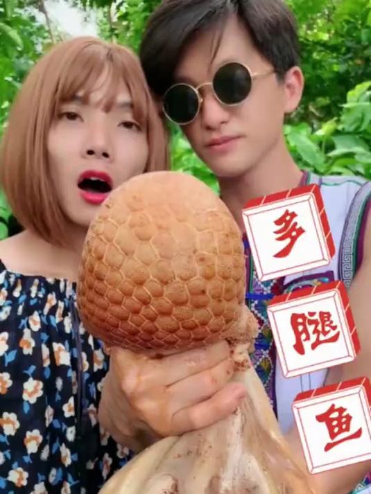 八爪鱼你那叫什么