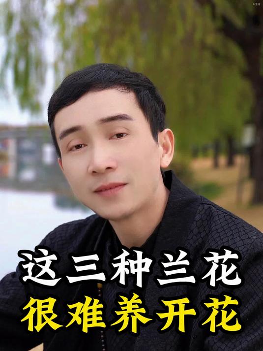 携兰之美,入目皆春