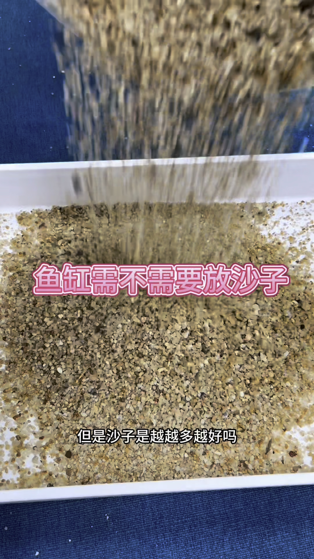 鱼缸需不需要放沙子