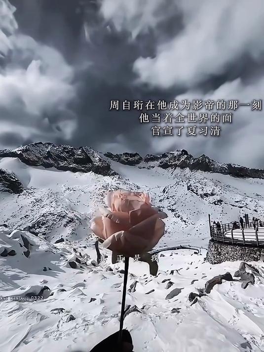 夏习清 周自珩 我只喜欢你的人设
