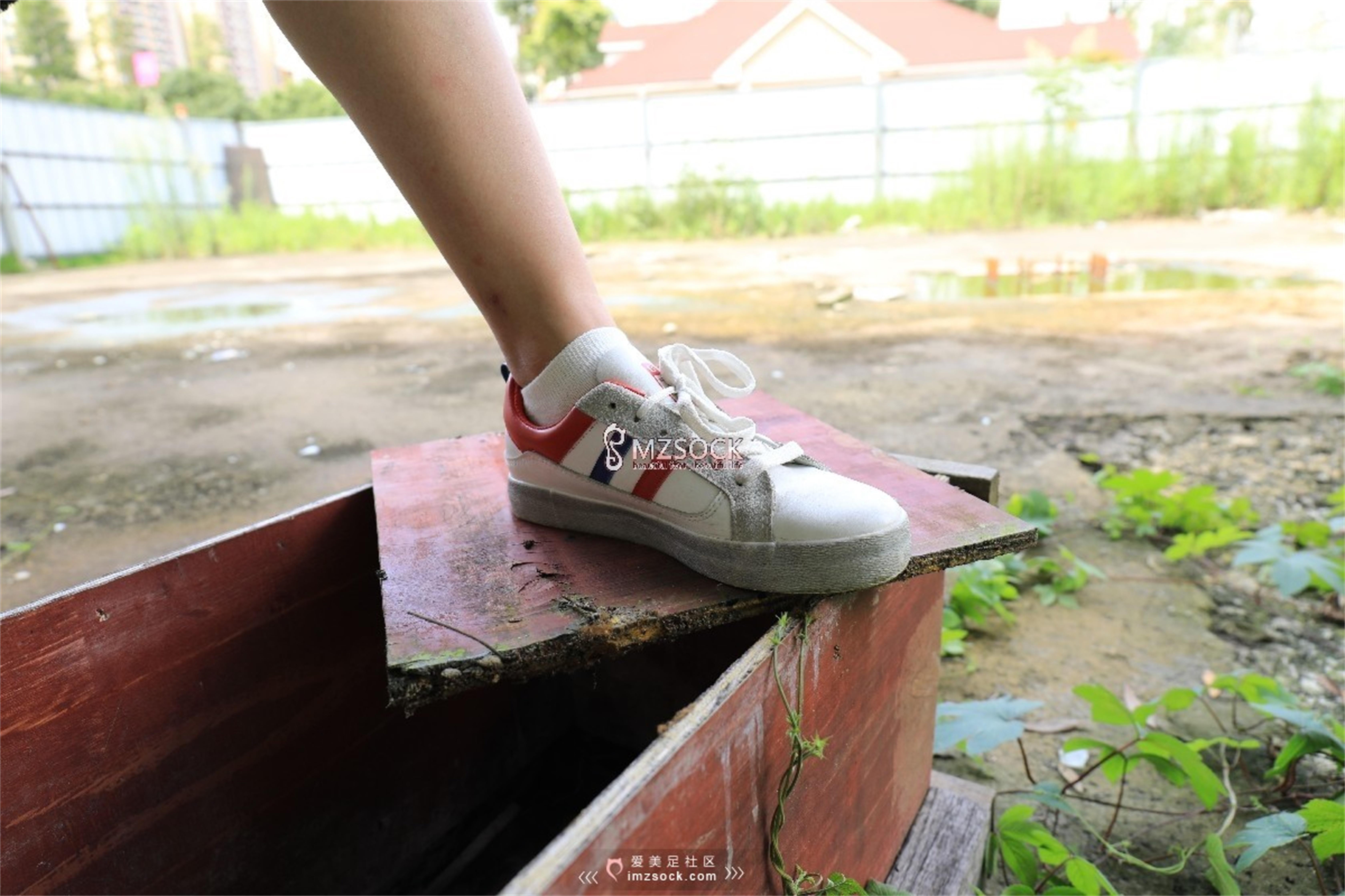 图片[11]-[MZSOCK]爱美足 NO.049 悦悦[122P403M]-六色网