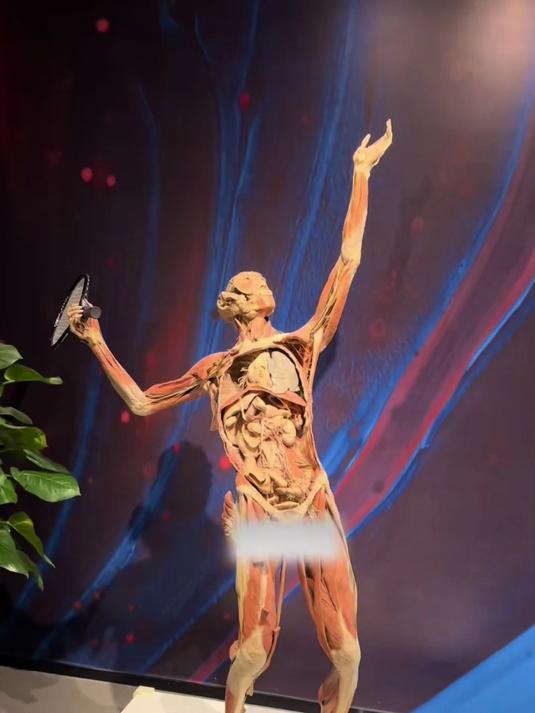 致敬大体老师!人类的肺部尤为重要