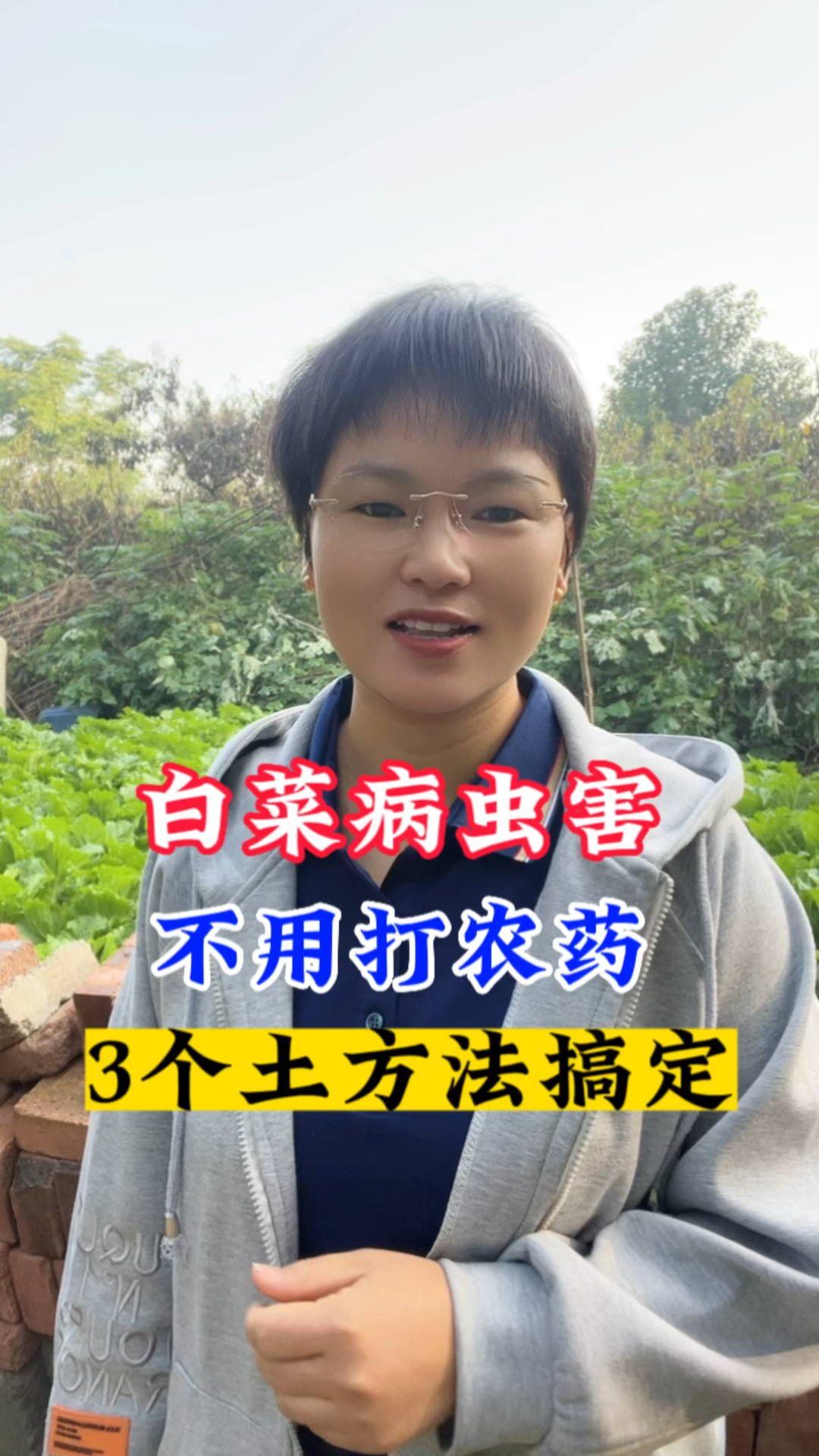 白菜出现病虫害,不用打农药,试试这3个土方法