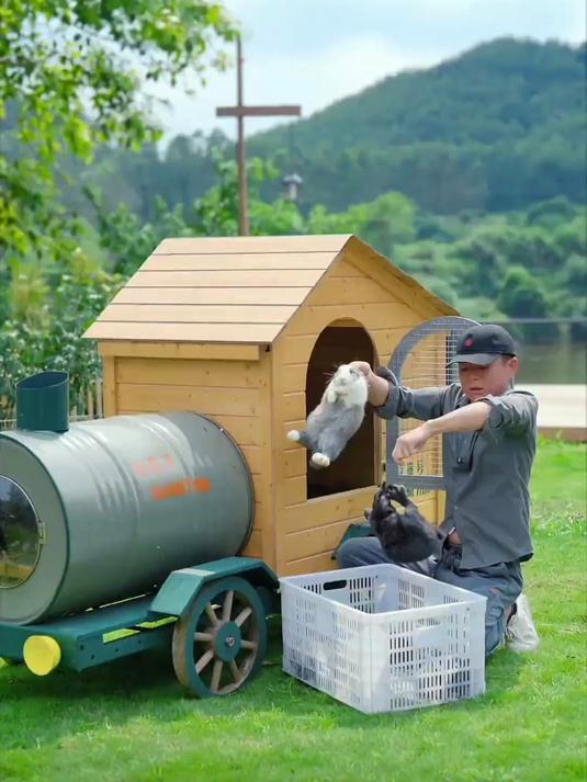 在野外给宠物兔建个庇护所,半人工半野森,见证三月后满山的兔子