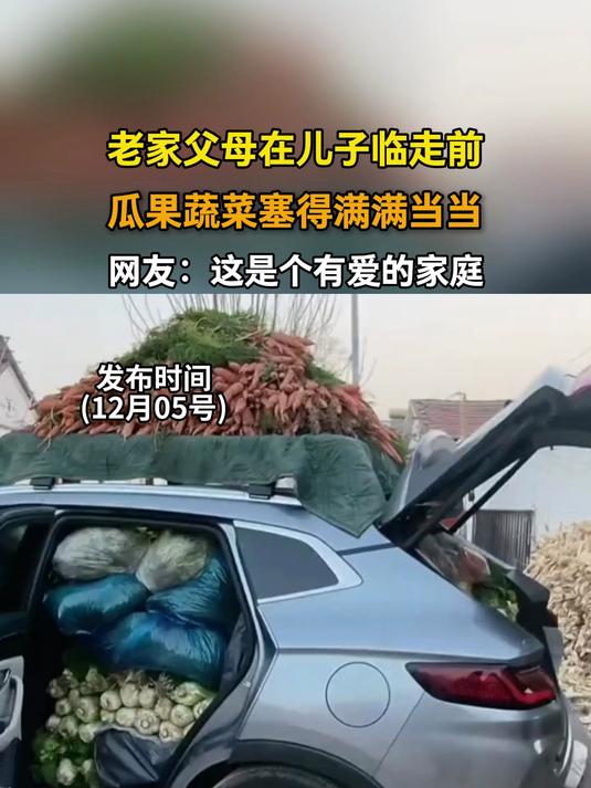 老家父母在儿子临走前,瓜果蔬菜塞得满满当当