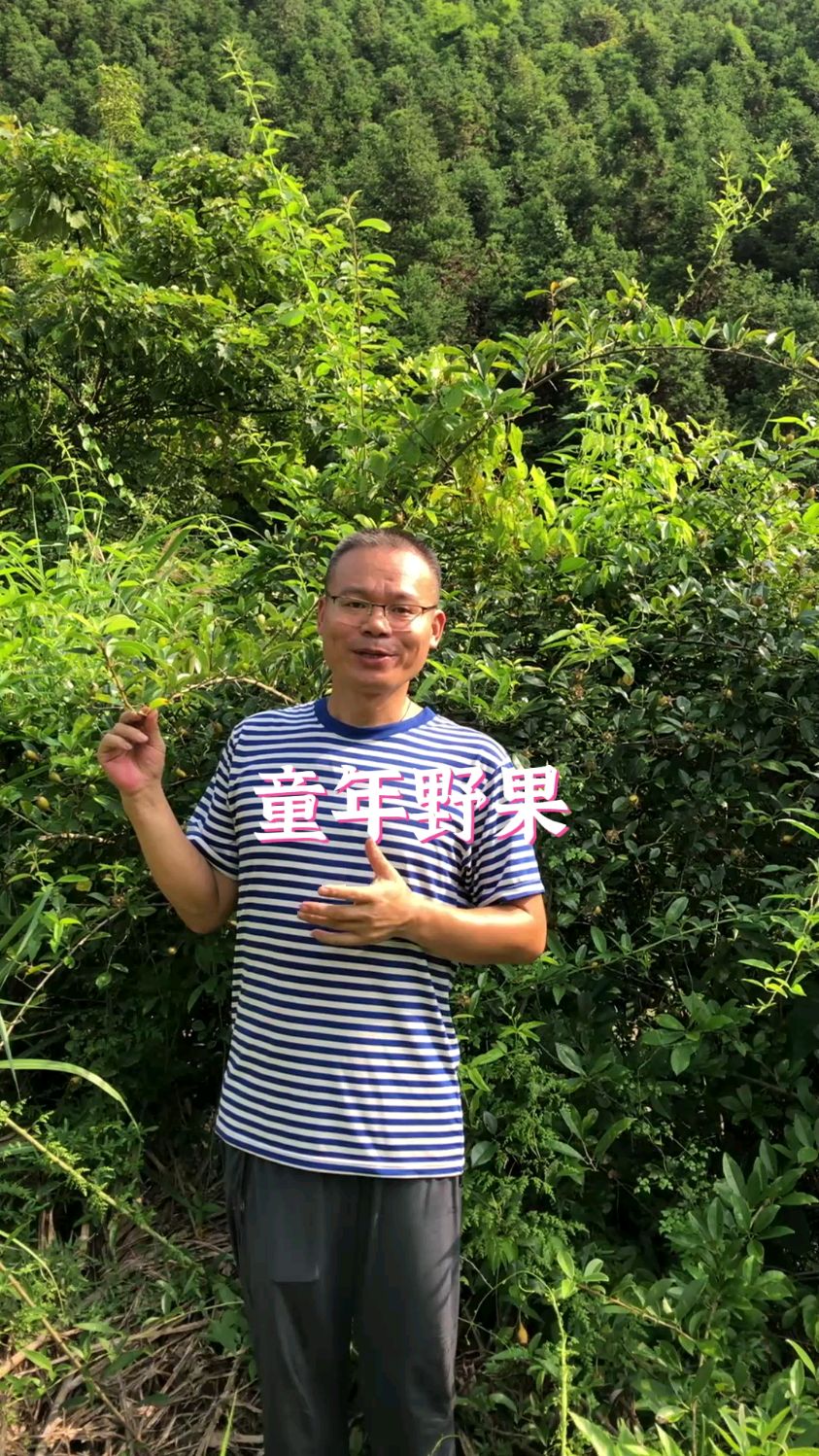 童年最常见的两种野果,你们吃过吗?