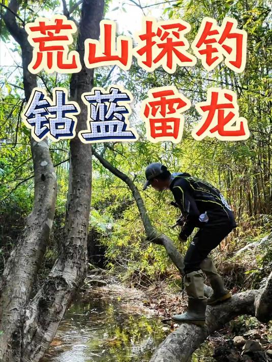 深山探钓,发现满天星紫蓝和红月雷龙,这鱼真好看!