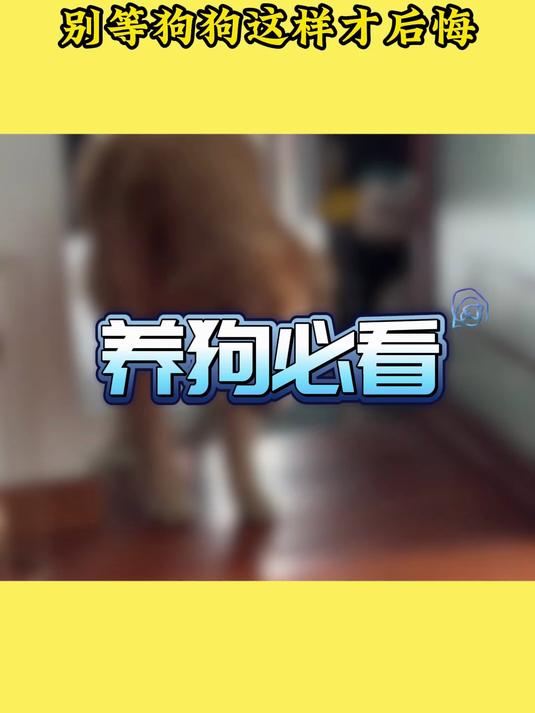鲨鱼软骨素葡萄糖胺关节宝 缓解犬髋关节疼痛 大型犬老年犬软胶囊