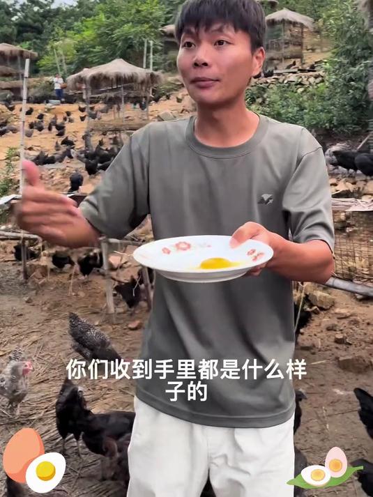 中年养家忙,乌鸡蛋补营养护全家安康