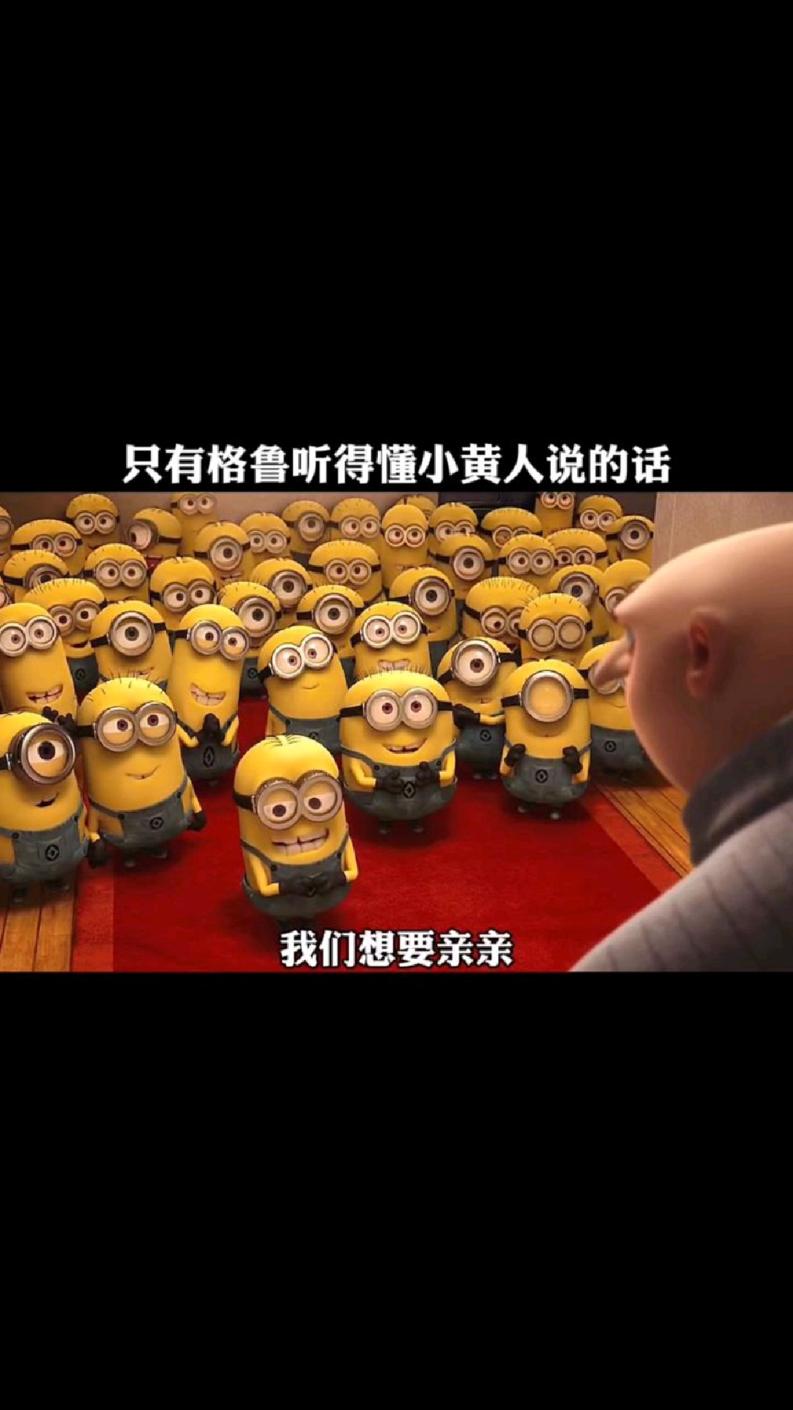 只有格鲁能听懂小黄人说的话