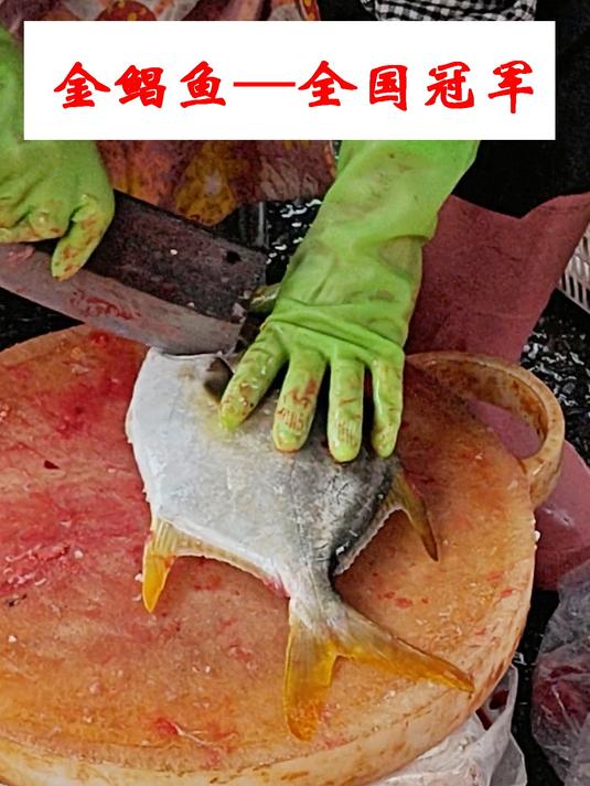 金鲳超大黄鱼,成海水养殖冠军,你能接受吗