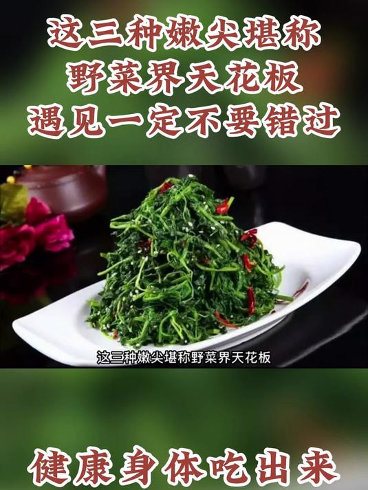 健康科普:这三种嫩尖堪称野菜界天花板遇见一定不要错过