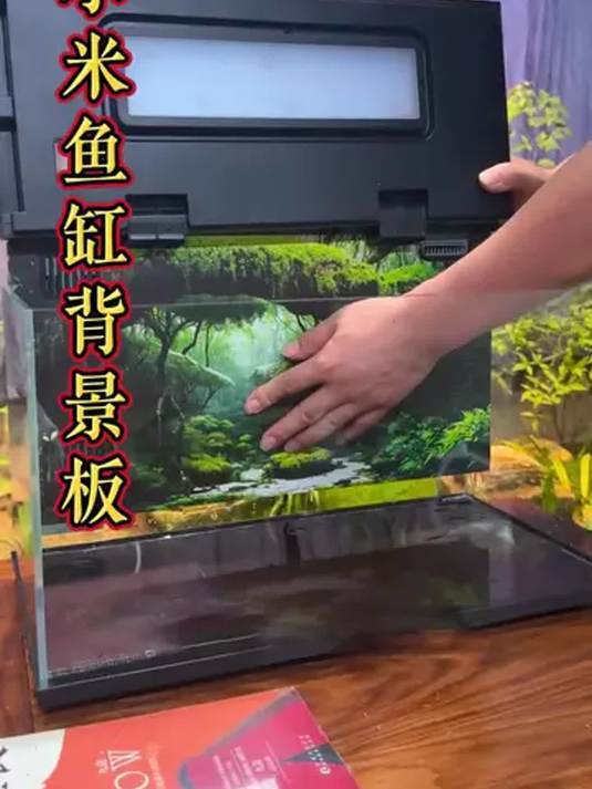 小米鱼缸背景板咋选?不同意境新手必知!