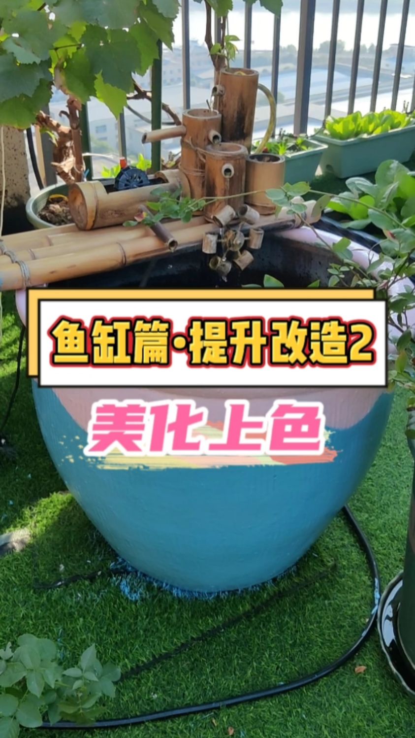 鱼缸提升改造之外壁美化上色,小清新风有木有。