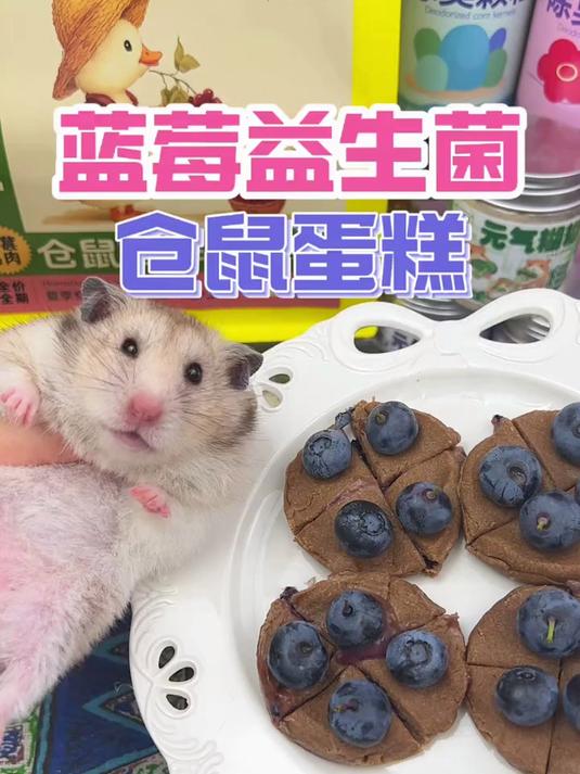 鼠鼠的生日派对～