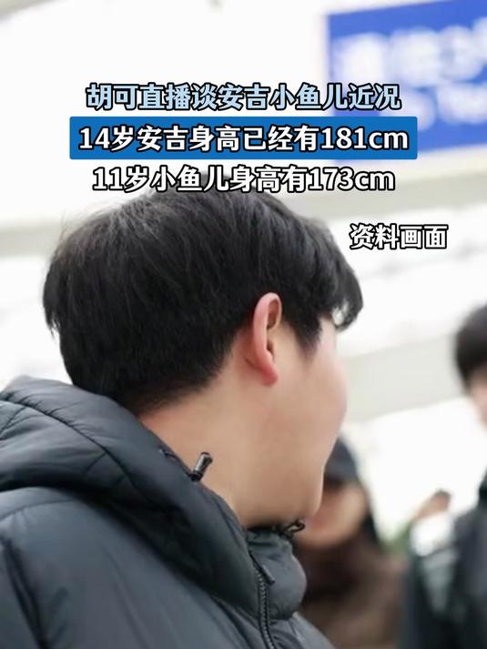 胡可谈安吉小鱼儿近况，14岁安吉已有181cm，11岁小鱼儿有173cm