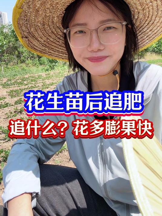 花生苗后追肥,追什么?花多膨果快