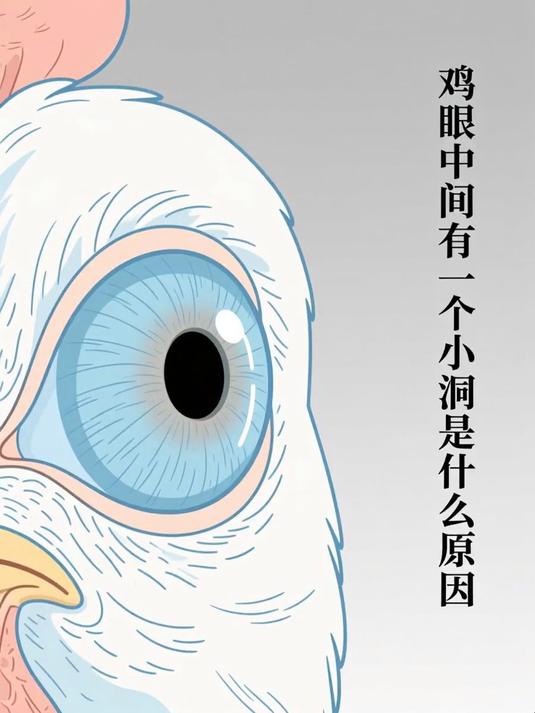 鸡眼中间有一个小洞是什么原因