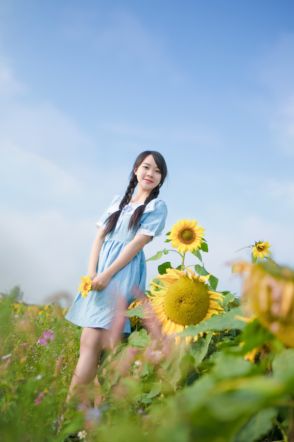 图片[11]-葵花物语-六色网