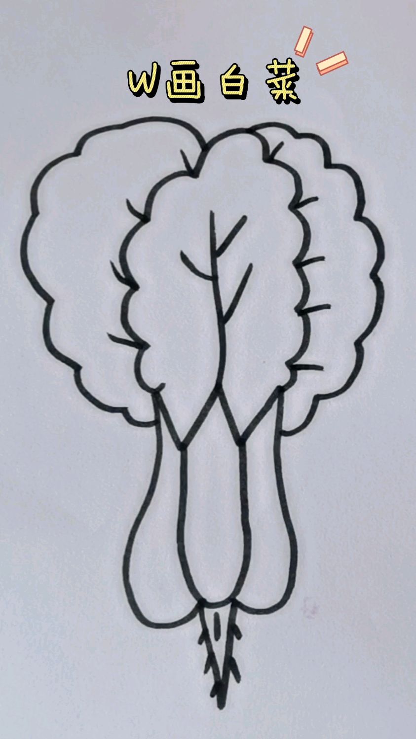 简笔画白菜、