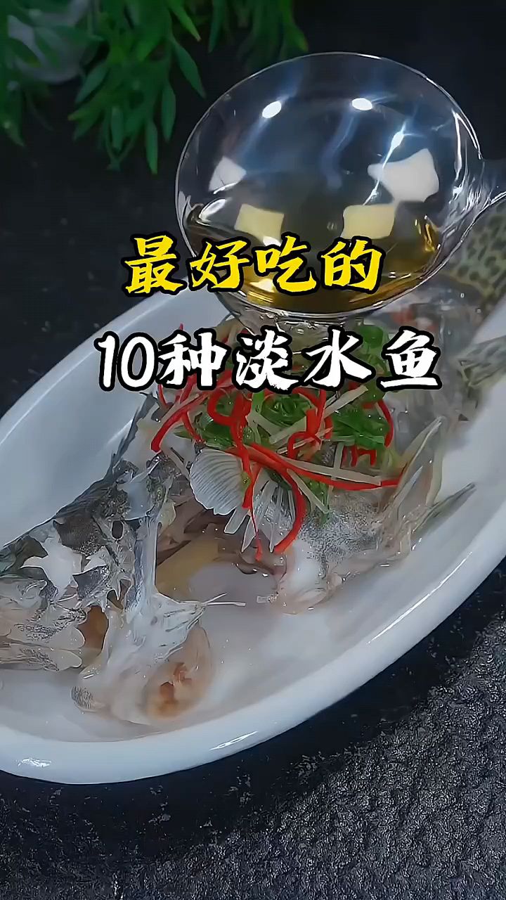 最好吃的十种淡水鱼,你最爱哪个