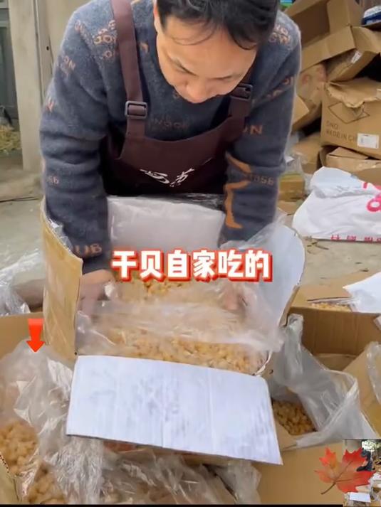 广西北海干贝瑶柱！个头均匀饱满干度足！煲干贝排骨汤！煮干贝海鲜粥！好吃美味！#618省心好