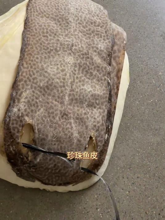 珍珠鱼皮,有认识这个的嘛,质感特别不错