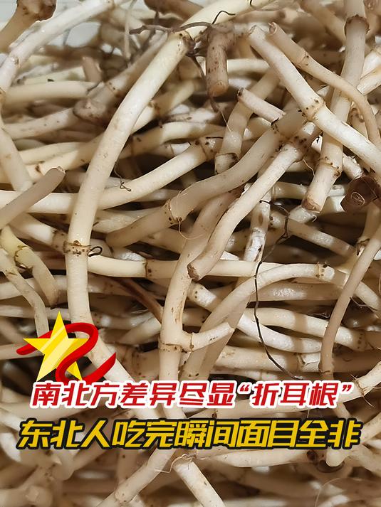 南北方差异尽显“折耳根”,东北人吃完瞬间面目全非,涨知识了