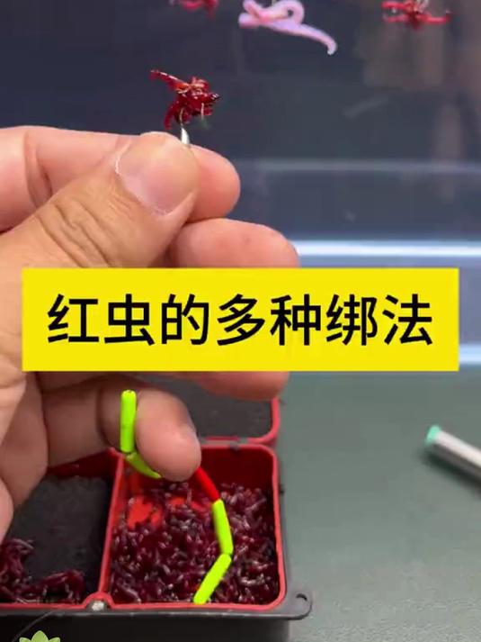 钓鱼神器来袭!不锈钢红虫上饵,省时省力!