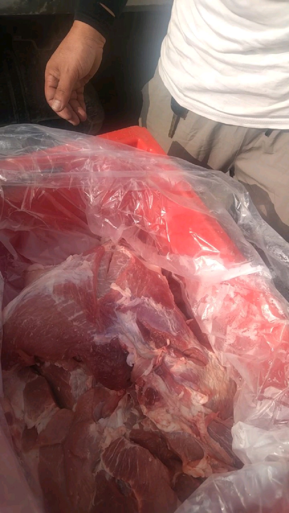 我们公司的产品<小芳菇>水饺的猪肉馅的愿材料。五百斤猪后腿肉。真材实料。