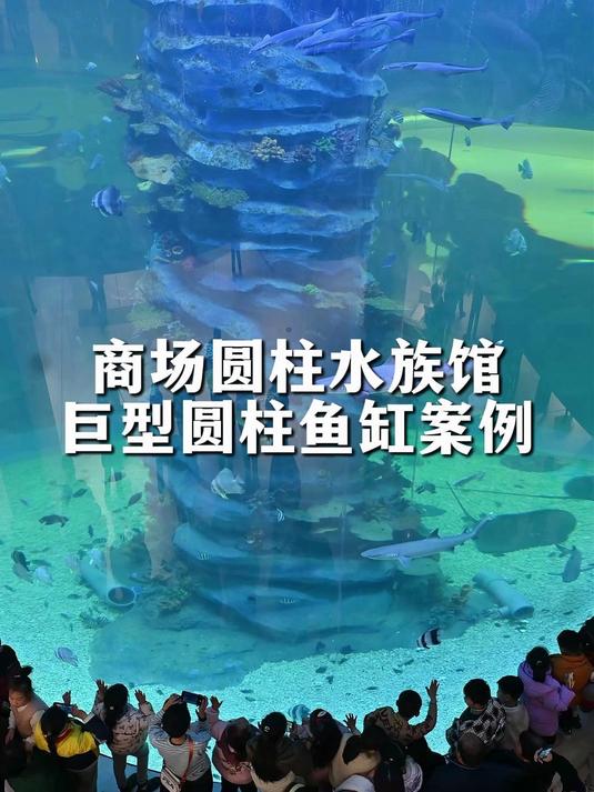 巨型圆柱鱼缸的震撼,商场、景区的网红引流神器
