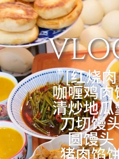 这样的午餐可太好吃了,咖喱鸡肉饭、红烧肉、馅饼又是吃撑的一天