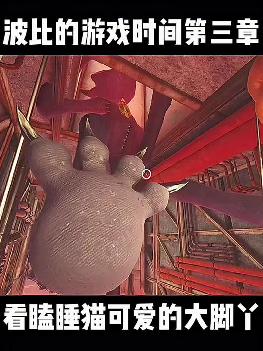 看看瞌睡猫可爱的大脚丫子