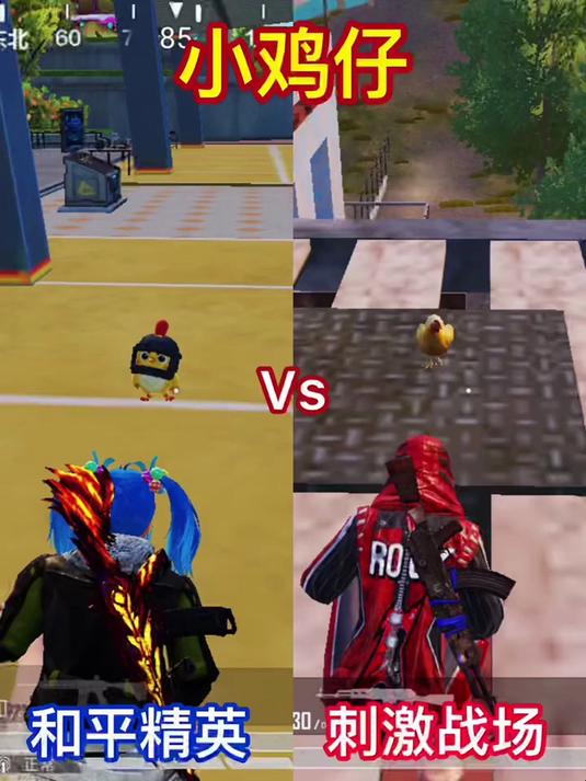 小鸡仔和平精英Vs刺激战场